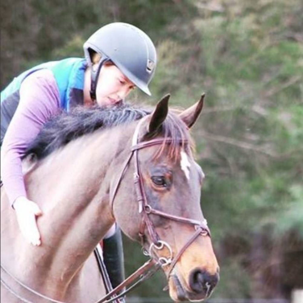 Meet your Posher, Frankie